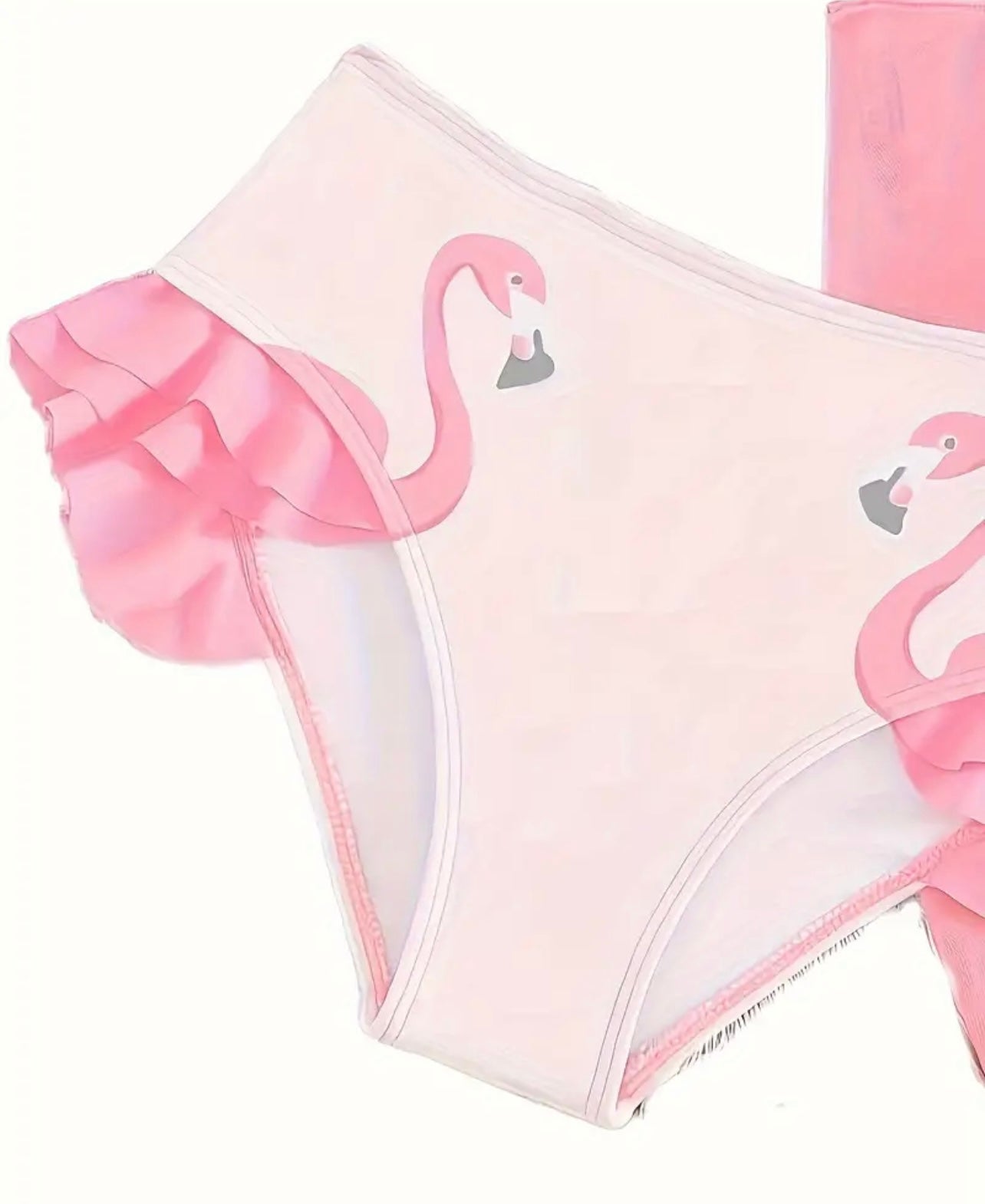 Flamingo Bikini